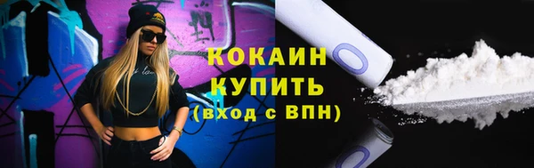 шишки Калининец