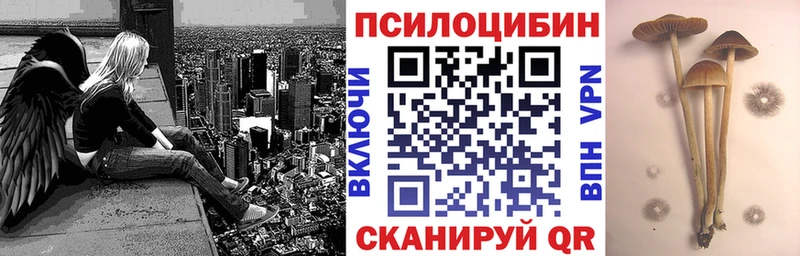 Галлюциногенные грибы MAGIC MUSHROOMS Азнакаево