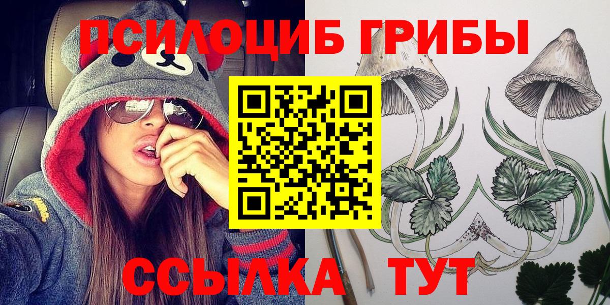 Псилоцибиновые грибы Psilocybe Азнакаево